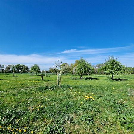 Gutshaus Michelshof Villa Kevelaer Eksteriør billede